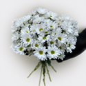 Букет белых хризантем - изображение 1