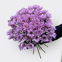 Букет розовых хризантем - изображение 1