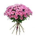 Букет розовых хризантем - изображение 2