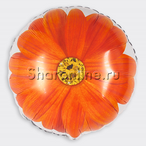 Шар Круг "Гербера" оранжевый 46 см - изображение 1