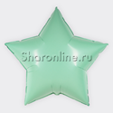 Шар Звезда Макаронс мятная  91 см - изображение 1