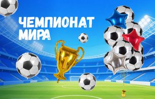 Чемпионат мира
