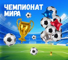 Чемпионат мира